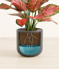 Load image into Gallery viewer, Iron Gray stand:all