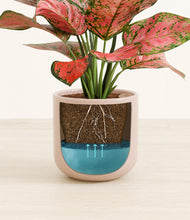 Load image into Gallery viewer, Sandy Pink stand:all