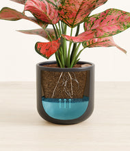 Load image into Gallery viewer, Stone Black stand:all