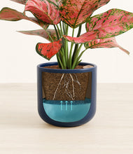 Load image into Gallery viewer, Twilight Blue stand:all