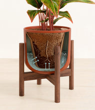 Load image into Gallery viewer, Earth Red stand:walnut