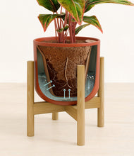 Load image into Gallery viewer, Earth Red stand:bamboo