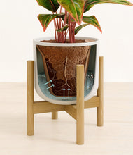 Load image into Gallery viewer, Natural Bamboo stand:bamboo