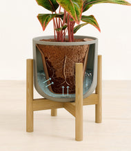 Load image into Gallery viewer, Sage Green stand:bamboo