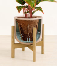 Load image into Gallery viewer, Sandy Pink stand:bamboo