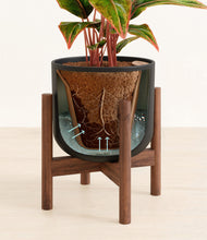 Load image into Gallery viewer, Stone Black stand:walnut