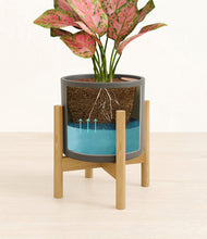 Load image into Gallery viewer, Dark Olive stand:bamboo