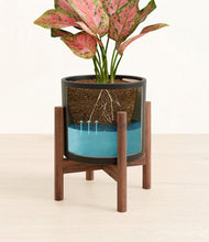 Load image into Gallery viewer, Black stand:walnut