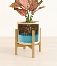 Load image into Gallery viewer, Cream stand:bamboo