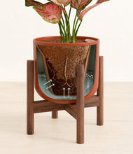 Load image into Gallery viewer, Earth Red stand:walnut