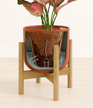 Load image into Gallery viewer, Earth Red stand:bamboo