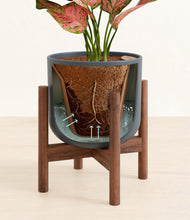 Load image into Gallery viewer, Iron Gray stand:walnut