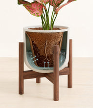 Load image into Gallery viewer, Natural Bamboo stand:walnut