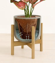 Load image into Gallery viewer, Sage Green stand:bamboo