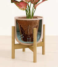 Load image into Gallery viewer, Sandy Pink stand:bamboo