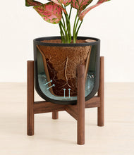 Load image into Gallery viewer, Stone Black stand:walnut