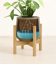 Load image into Gallery viewer, Olive stand:bamboo