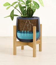 Load image into Gallery viewer, Deep Navy stand:bamboo