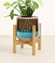 Load image into Gallery viewer, Eternal Gray stand:bamboo