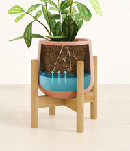 Load image into Gallery viewer, Calm Rose stand:bamboo