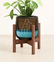 Load image into Gallery viewer, Black stand:walnut