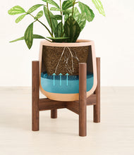 Load image into Gallery viewer, Gentle Pink stand:walnut