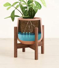 Load image into Gallery viewer, Calm Rose stand:walnut