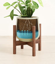 Load image into Gallery viewer, Turquoise stand:walnut