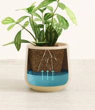 Load image into Gallery viewer, Almond Green