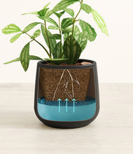 Load image into Gallery viewer, Black