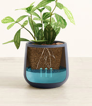 Load image into Gallery viewer, Deep Navy