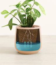 Load image into Gallery viewer, Gentle Pink