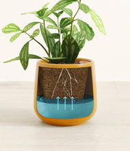 Load image into Gallery viewer, Mustard