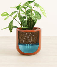 Load image into Gallery viewer, Glossy Red