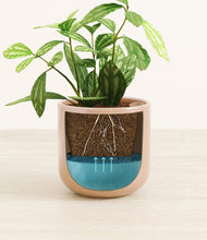 Load image into Gallery viewer, Glossy Pink