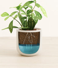 Load image into Gallery viewer, Cotton White