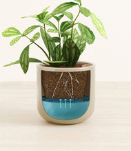 Load image into Gallery viewer, Sage Green