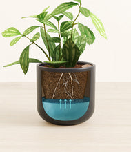 Load image into Gallery viewer, Stone Black