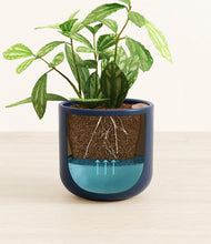 Load image into Gallery viewer, Twilight Blue