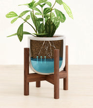 Load image into Gallery viewer, Hammered Ivory stand:walnut