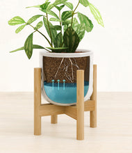 Load image into Gallery viewer, Hammered Ivory stand:bamboo