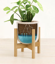 Load image into Gallery viewer, Snowdrift White stand:bamboo