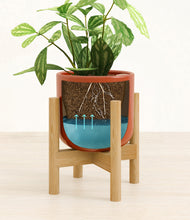 Load image into Gallery viewer, Glossy Red stand:bamboo