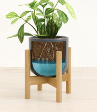 Load image into Gallery viewer, Iron Gray stand:bamboo