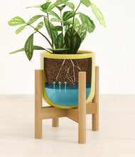 Load image into Gallery viewer, Key Lime Yellow stand:bamboo