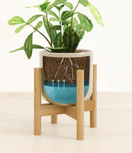 Load image into Gallery viewer, Sage Green stand:bamboo