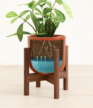 Load image into Gallery viewer, Glossy Red stand:walnut