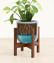 Load image into Gallery viewer, Misty Blue stand:walnut