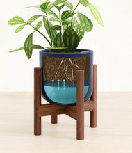 Load image into Gallery viewer, Twilight Blue stand:walnut