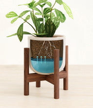 Load image into Gallery viewer, Snowdrift White stand:walnut